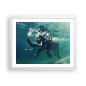 Affisch i vit ram - Alla tycker om att simma - 50x40 cm