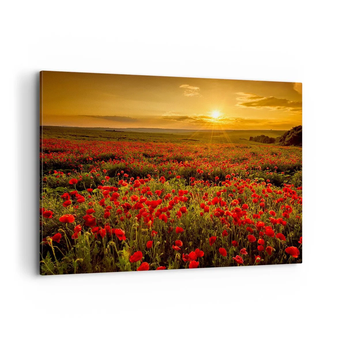 Canvastavla - Bild på duk - Bland brusande ängars vågor, bland blommornas flod - 100x70 cm