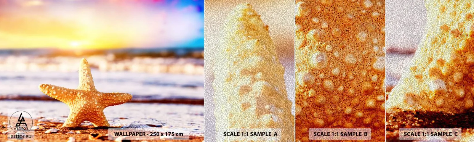 Provbit av fototapet Premium Sand - Havsgåva - Sjöstjärna, Strand, Hav - 100x30 cm