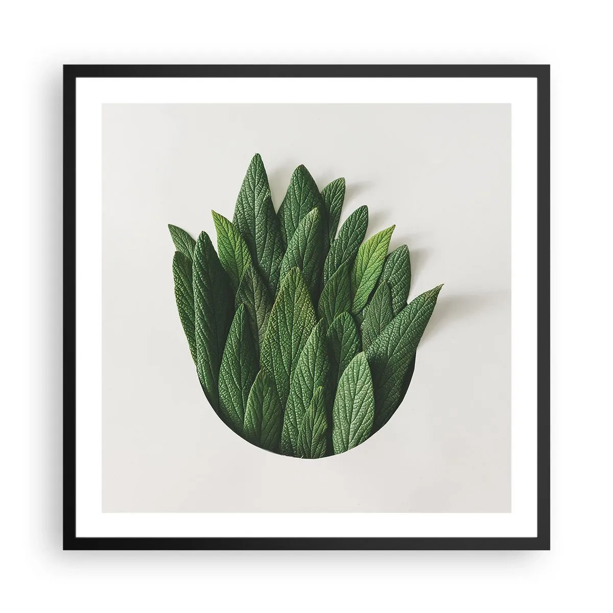 Affisch i svart ram - Ostoppbar nyfikenhet - 60x60 cm