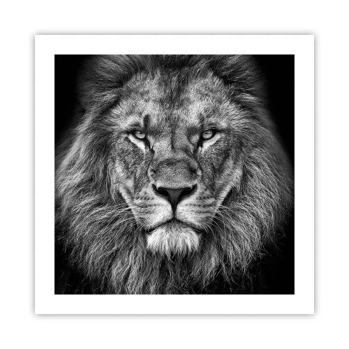 Affisch - I kröningskläder - 50x50 cm