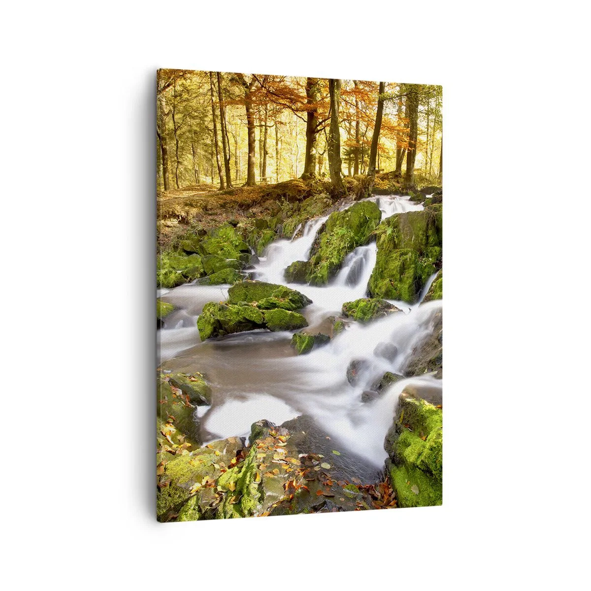Canvastavla - Bild på duk - Kvickt genom höstskogen - 50x70 cm