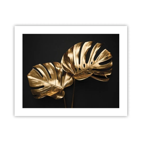 Affisch - Naturens skatter - 50x40 cm