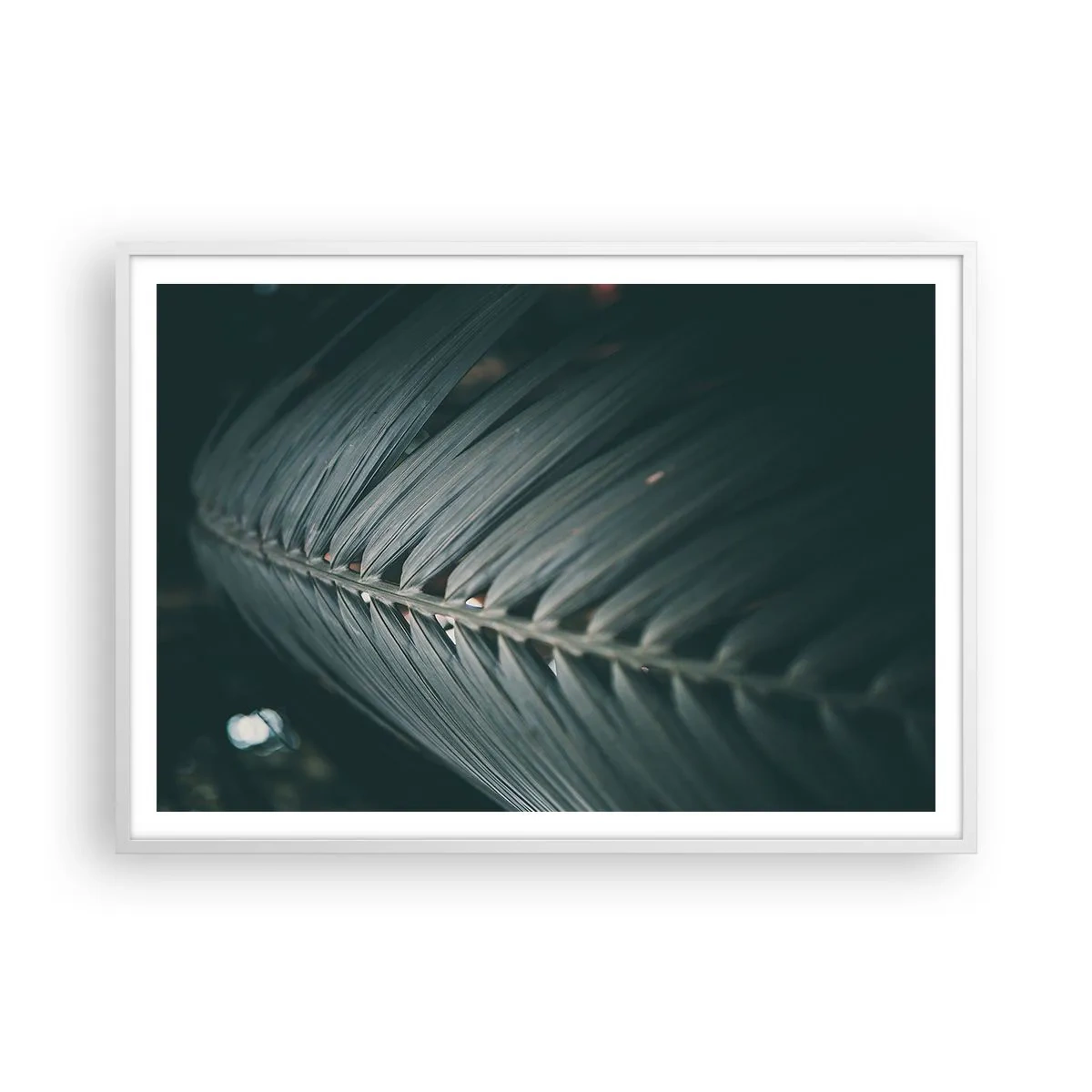 Affisch i vit ram - Naturens precision - 100x70 cm