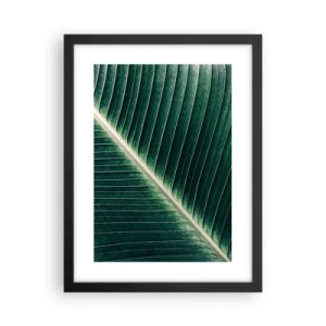 Affisch i svart ram - Naturens rytm - 30x40 cm