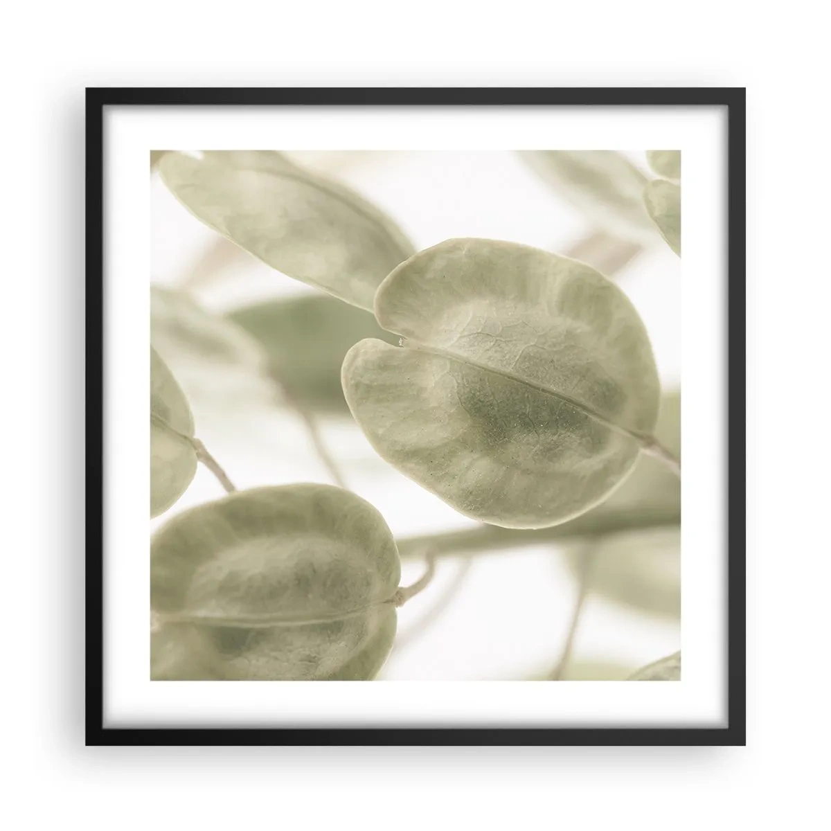 Affisch i svart ram - I början fanns det löv... - 50x50 cm