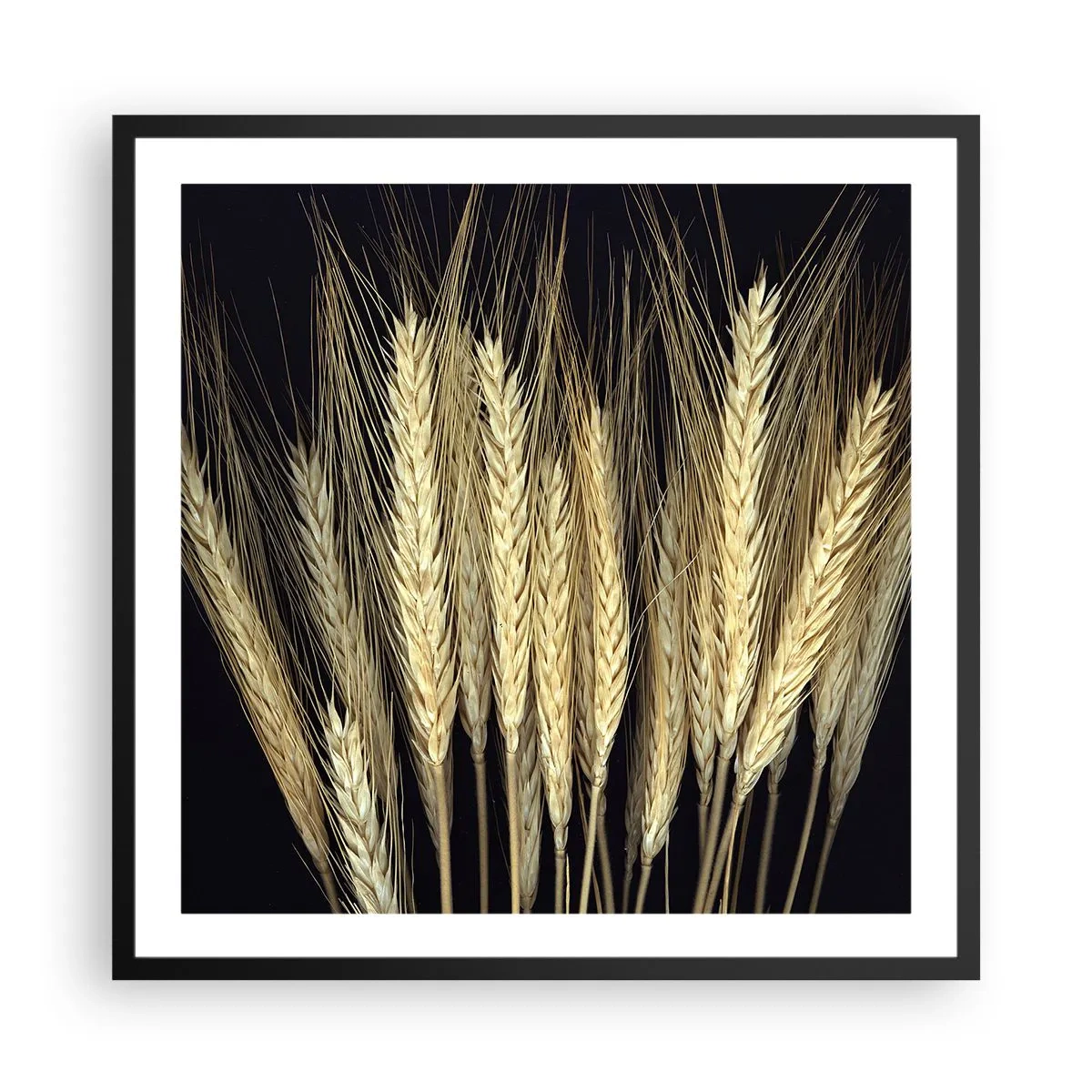 Affisch i svart ram - Rustik magi - 60x60 cm