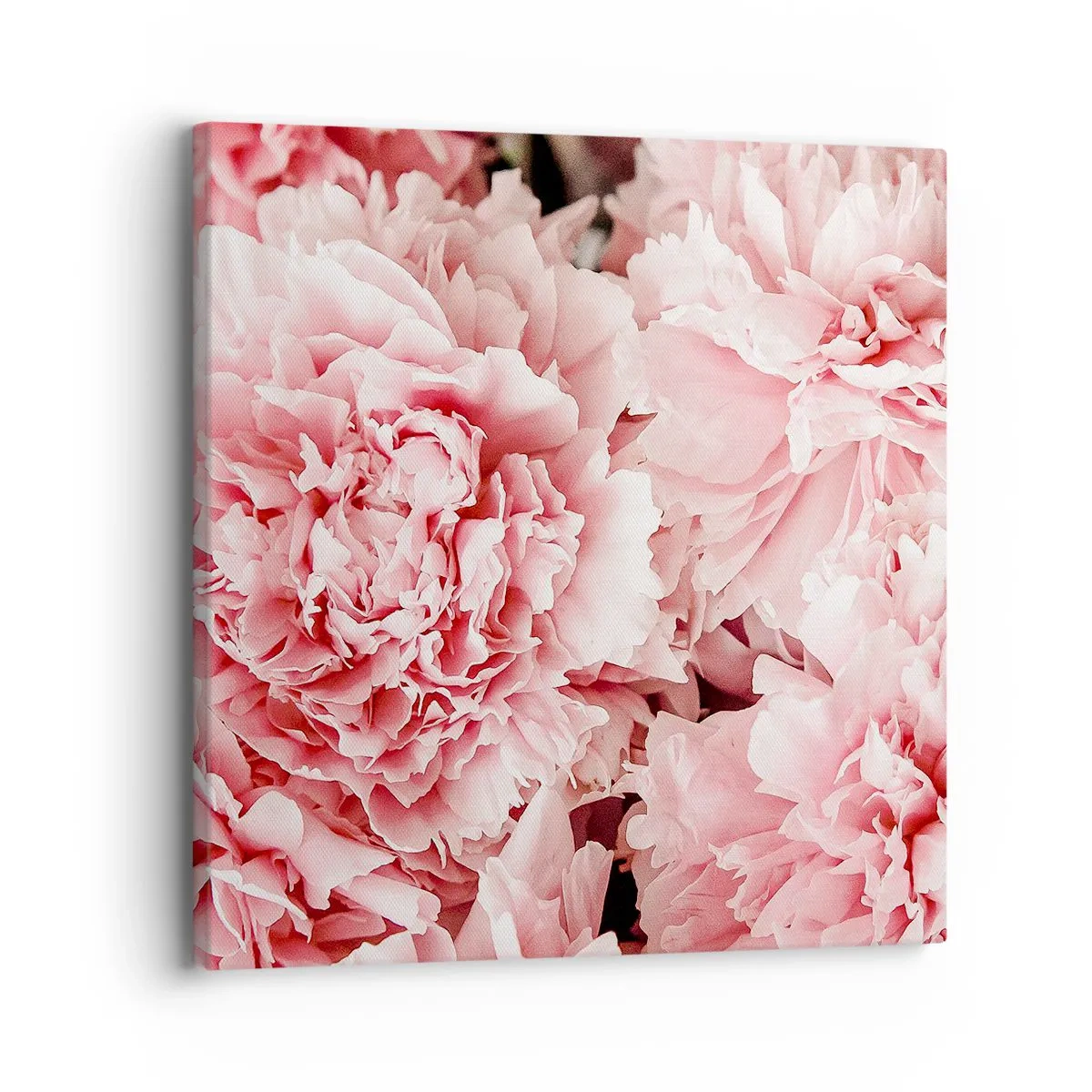 Canvastavla - Bild på duk - Rosa dröm - 30x30 cm