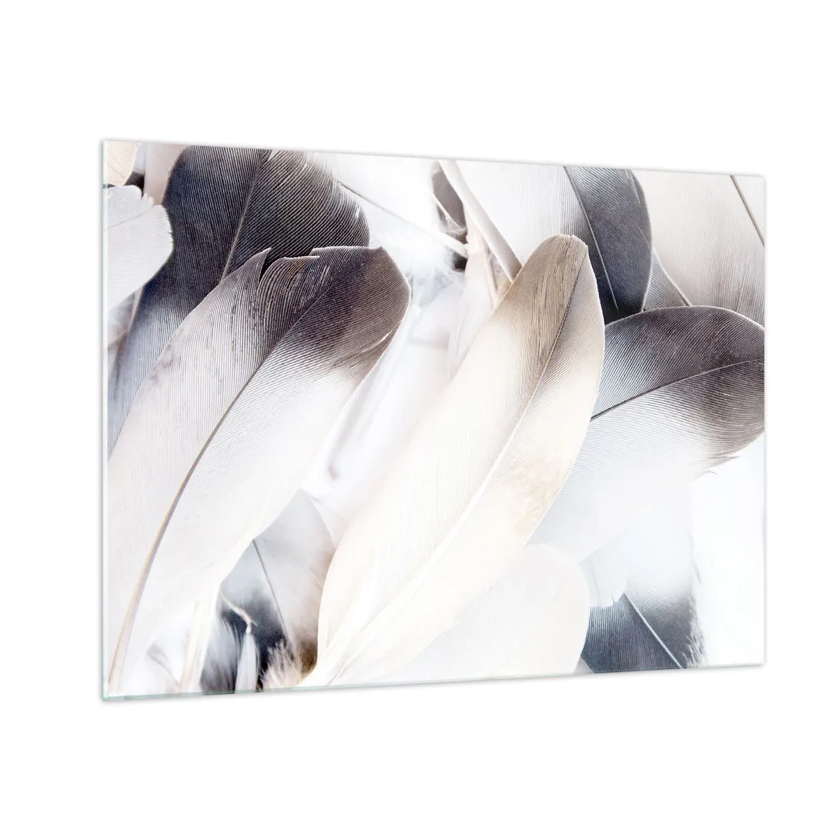 Glastavla - Bild på glas - Fina, ljusa fjädrar i vita och grå nyanser - 70x50cm - Nästan änglalik - Modern väggdekoration för vardagsrum och sovrum ARTTOR