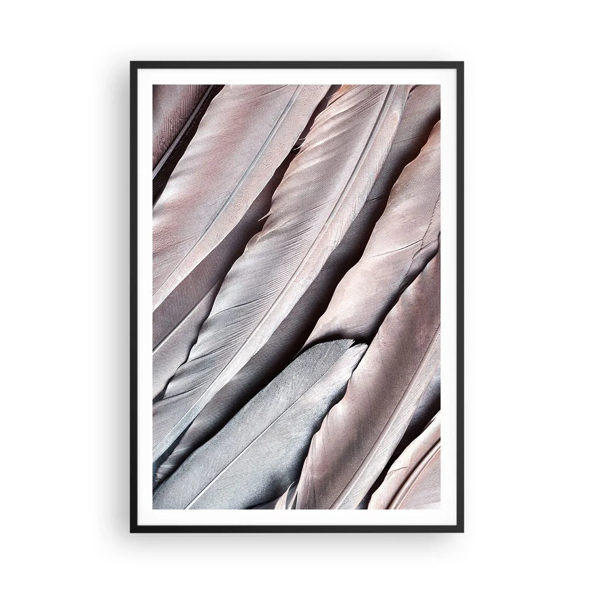 Affisch i svart ram - I rosa silver - 70x100 cm