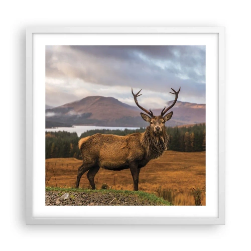 Affisch i vit ram - Naturens majestät - 50x50 cm