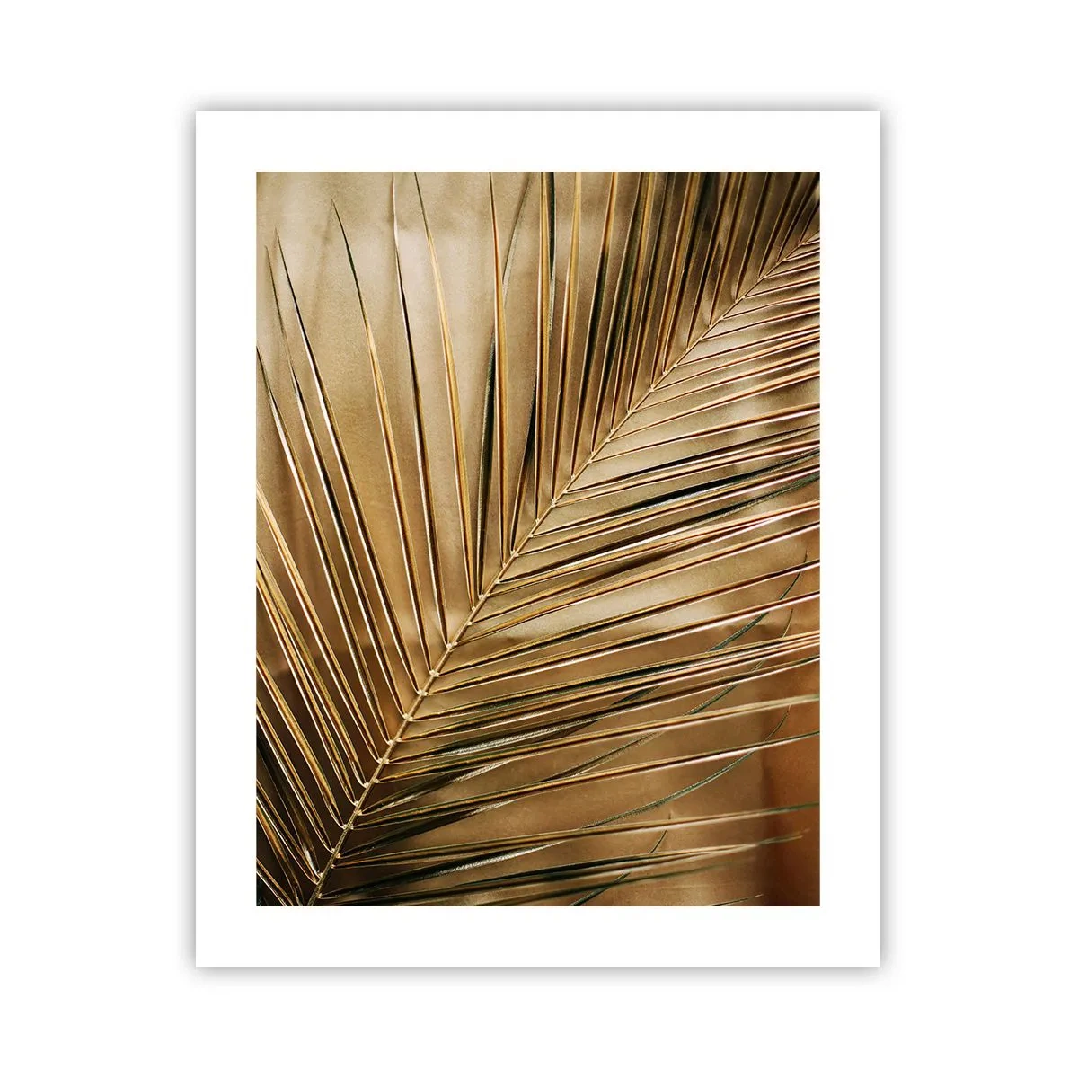 Affisch - Naturlig pelargång - 40x50 cm