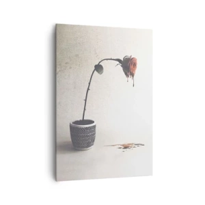 Canvastavla - Bild på duk - Rosa dolorosa - 70x100 cm