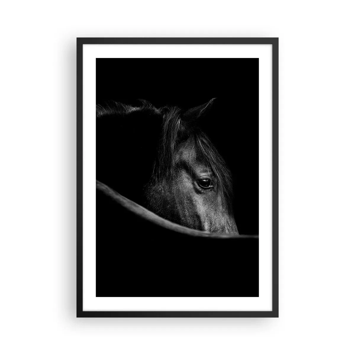 Affisch i svart ram - Svartvitt porträtt av en häst i ett konstnärligt tillvägagångssätt - 50x70cm - Svart prins - Modern väggdekoration för vardagsrum och sovrum ARTTOR