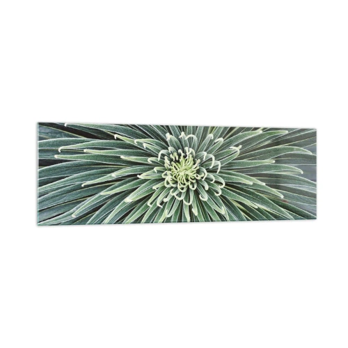 Glastavla - Bild på glas - Stjärna föds - 160x50 cm