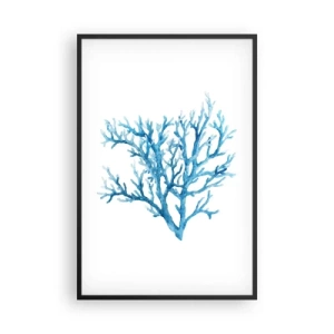 Affisch i svart ram - Marin filigran - 61x91 cm