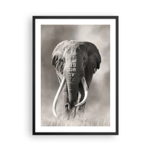 Affisch i svart ram - Monokromt porträtt av en majestätisk elefant - 50x70cm - Afrikansk patriark - Modern väggdekoration för vardagsrum och sovrum ARTTOR