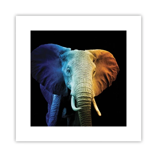 Affisch - Excentriker, ej kuf - 30x30 cm