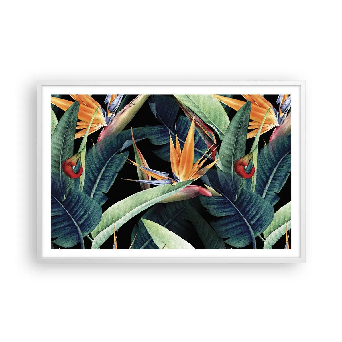Affisch i vit ram - Tropikens brinnande blommor - 91x61 cm