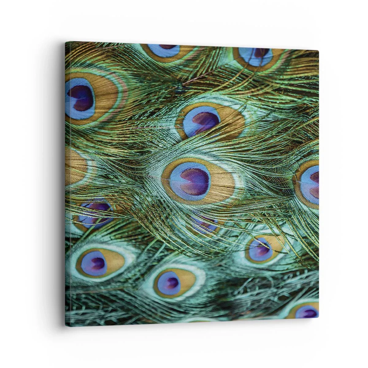 Canvastavla - Bild på duk - Påfågels blick - 30x30 cm
