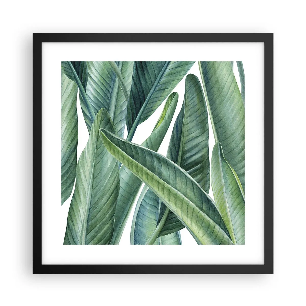 Affisch i svart ram - Grönskan i sig själv - 40x40 cm