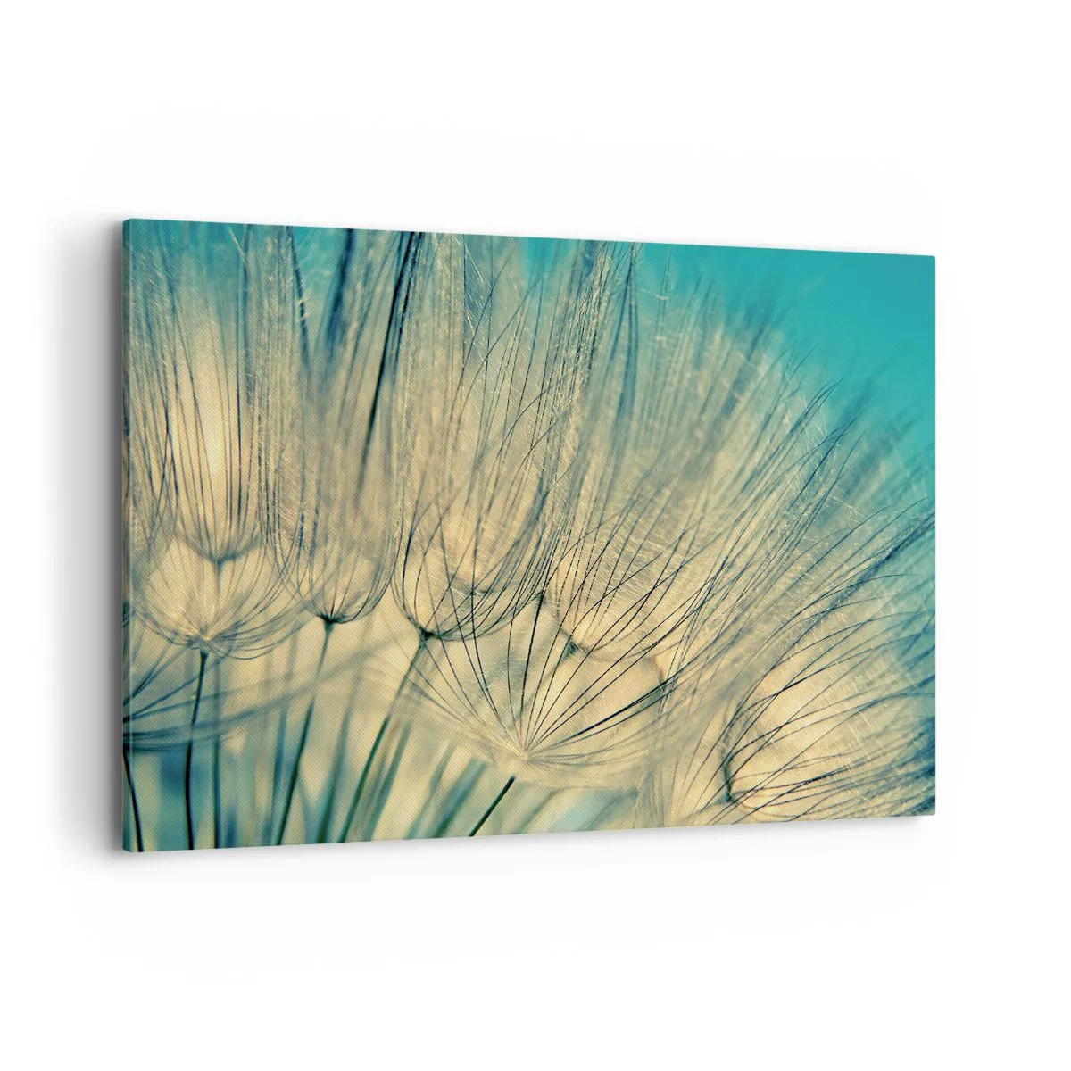 Canvastavla - Bild på duk - I väntan på vinden - 120x80 cm