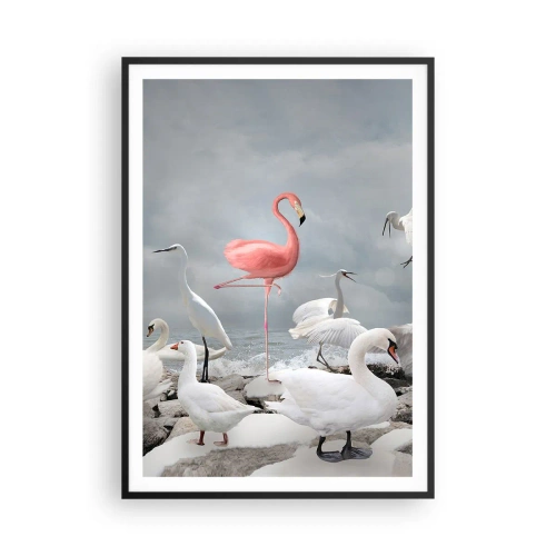 Affisch i svart ram - Hur har jag hamnat här? - 70x100 cm