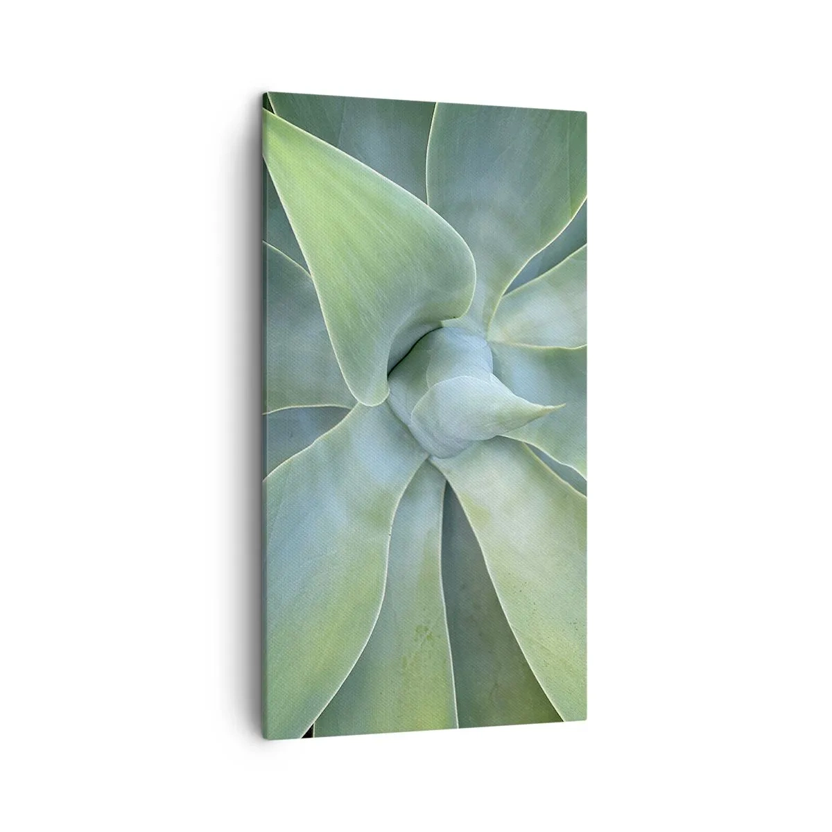 Canvastavla - Bild på duk - Det gröna föds - 45x80 cm