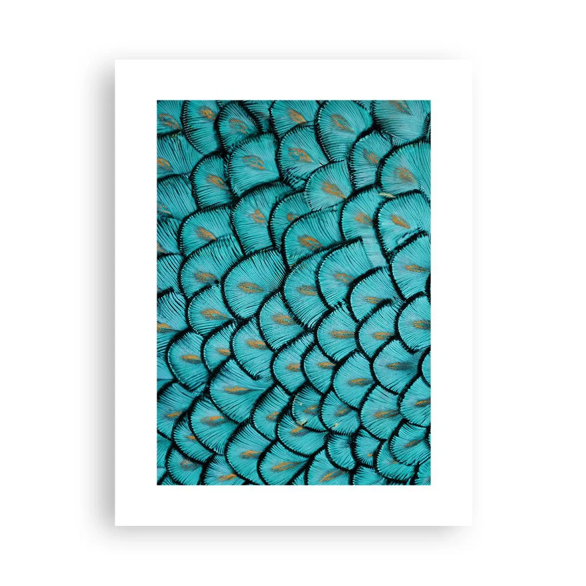 Affisch - Den stora fjädergalan - 30x40 cm