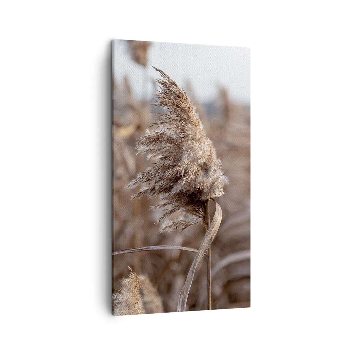 Canvastavla - Bild på duk - Dags att flyga bort med vinden - 45x80 cm