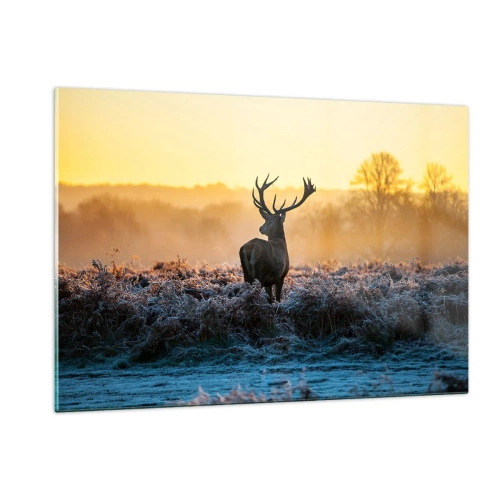 Glastavla - Bild på glas - Krönt på sin mark - 120x80 cm