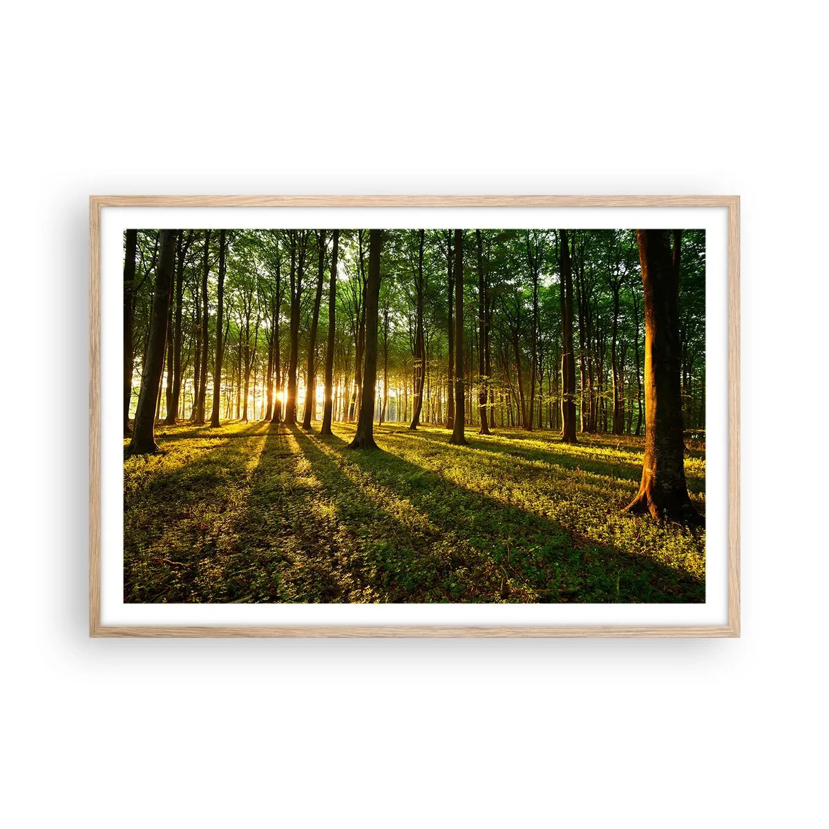 Affisch i ram av ljusek - Fotografi av alla vårar - 91x61 cm