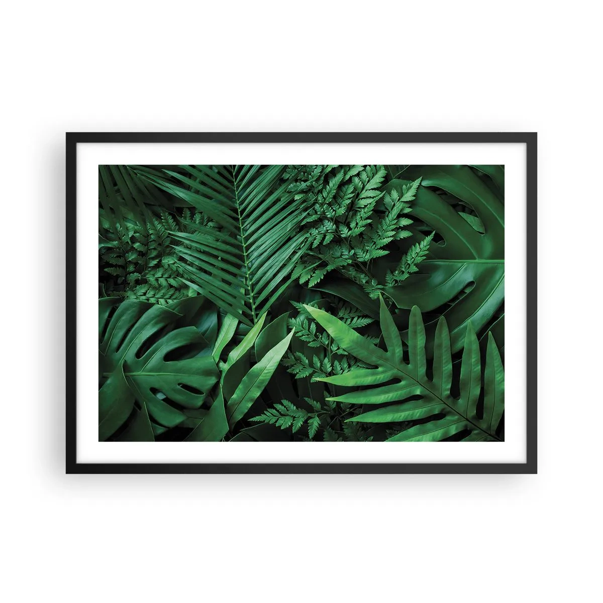 Affisch i svart ram - Omgärdade av grönskan - 70x50 cm