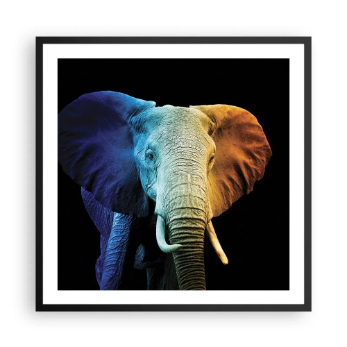 Affisch i svart ram - Excentriker, ej kuf - 60x60 cm