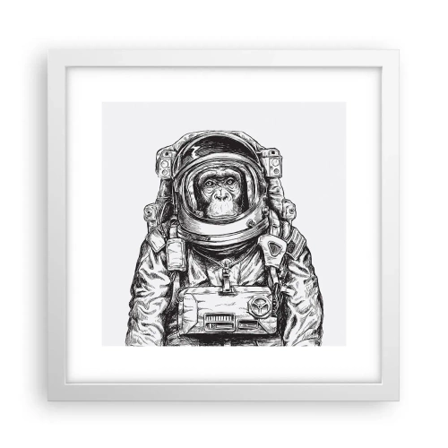 Affisch i vit ram - Alternativ evolution - 30x30 cm
