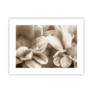 Affisch - Milda som ett leende - 40x30 cm