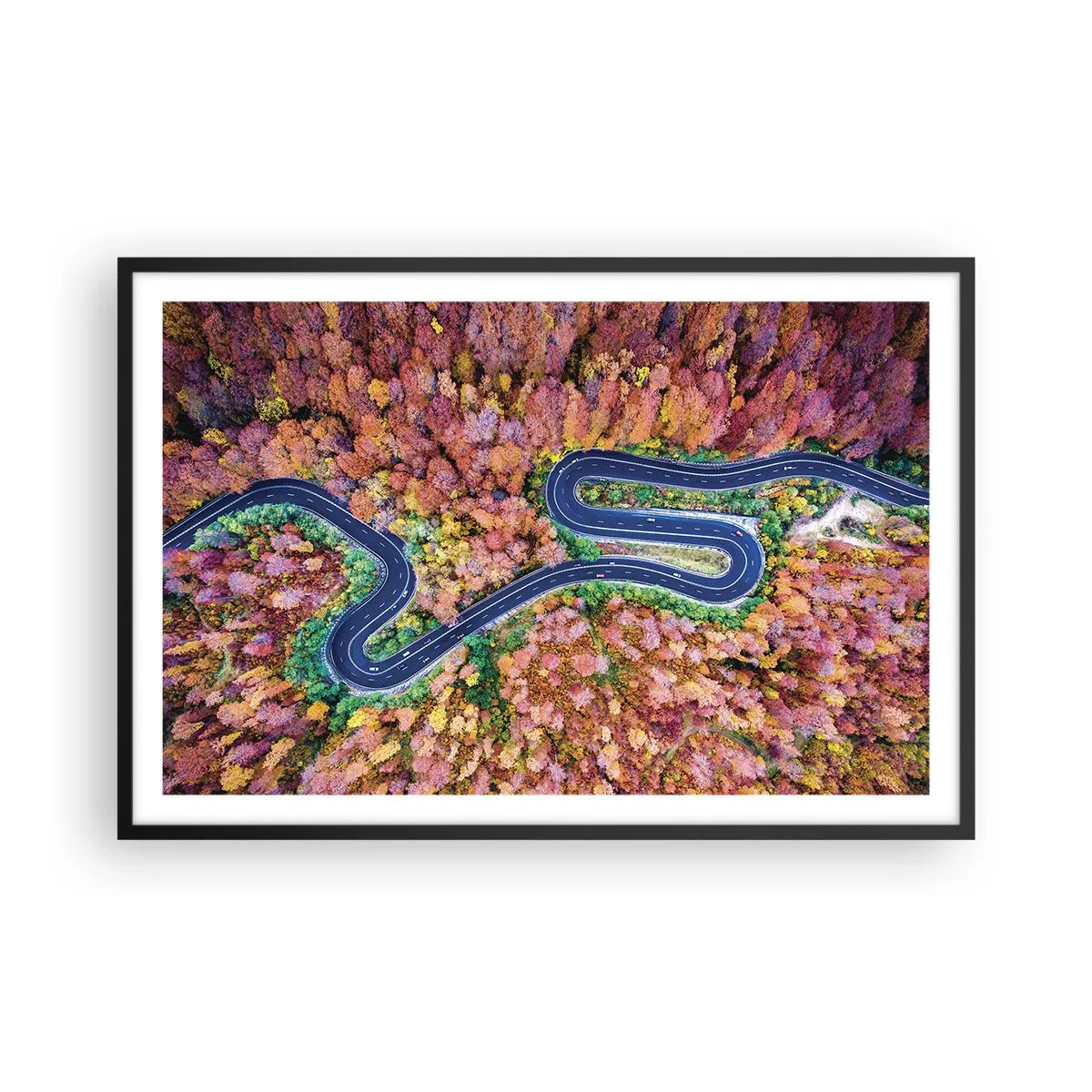 Affisch i svart ram - Slingrande väg genom skogen - 91x61 cm