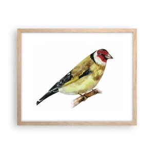 Affisch i ram av ljusek - Fågelporträtt - 50x40 cm