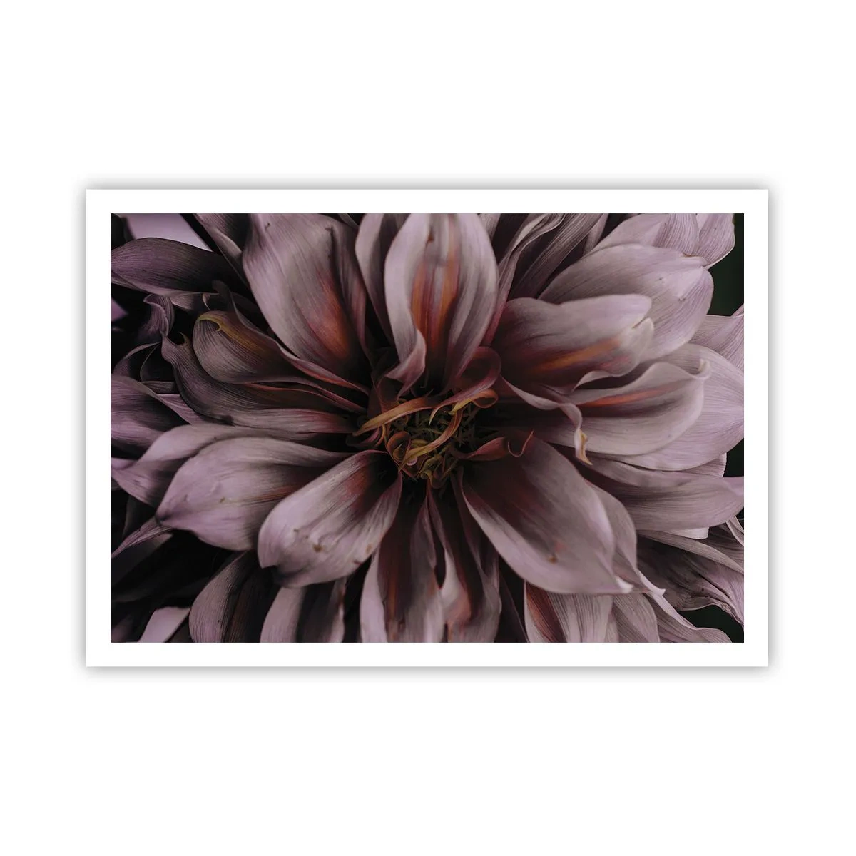 Affisch - Blommigt hjärta - 100x70 cm