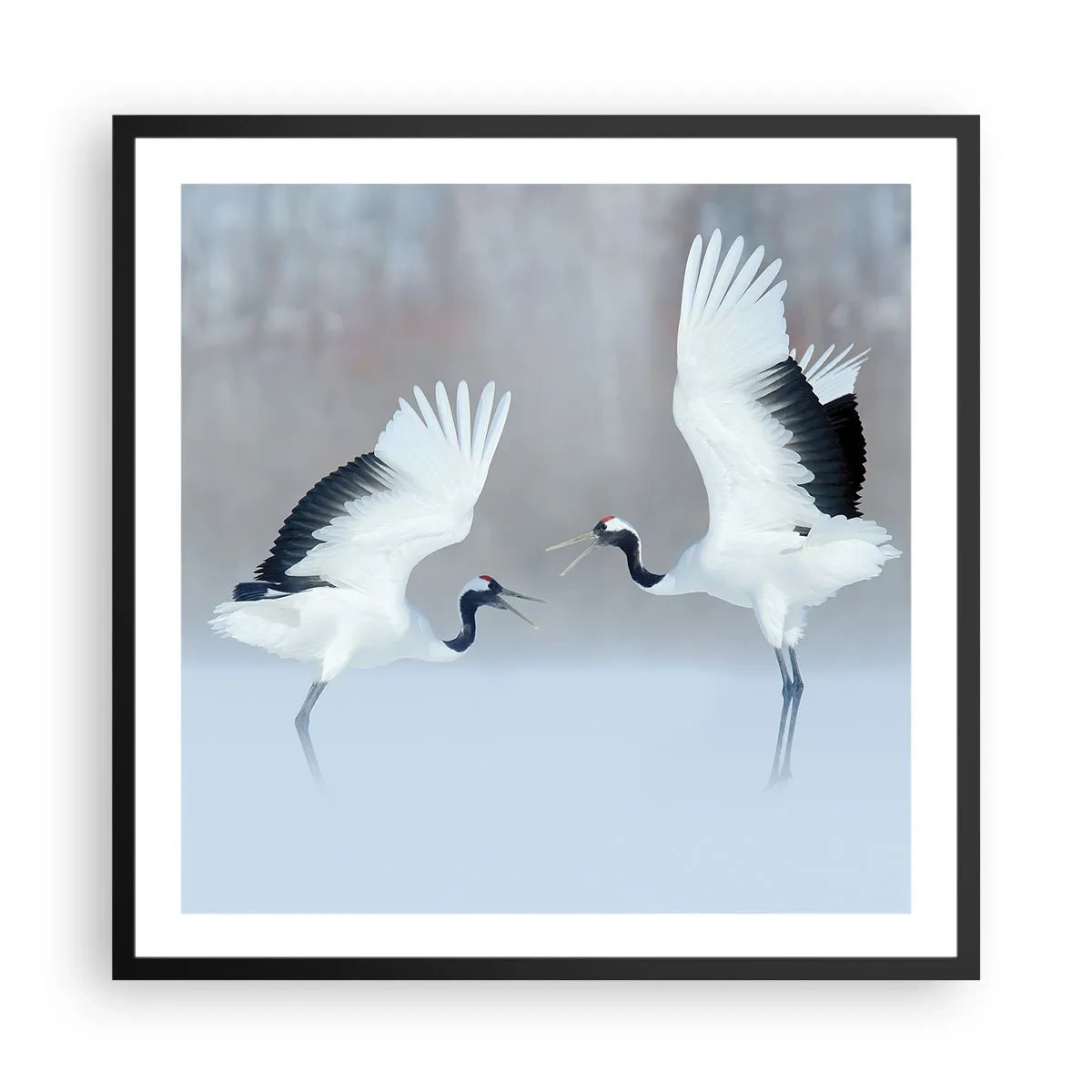 Affisch i svart ram - Dansen i dimman - 60x60 cm