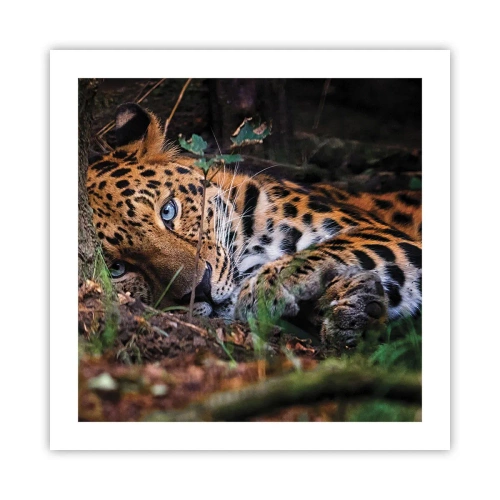 Affisch - Tro mig - 50x50 cm