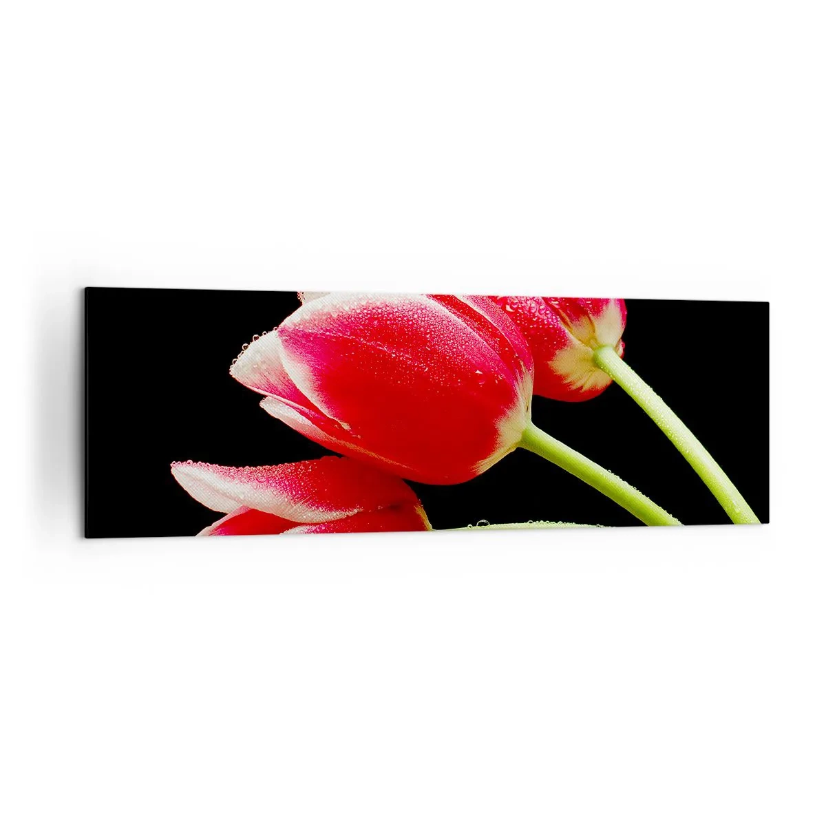 Canvastavla - Bild på duk - Ett löfte om en ren kärlek - 160x50 cm