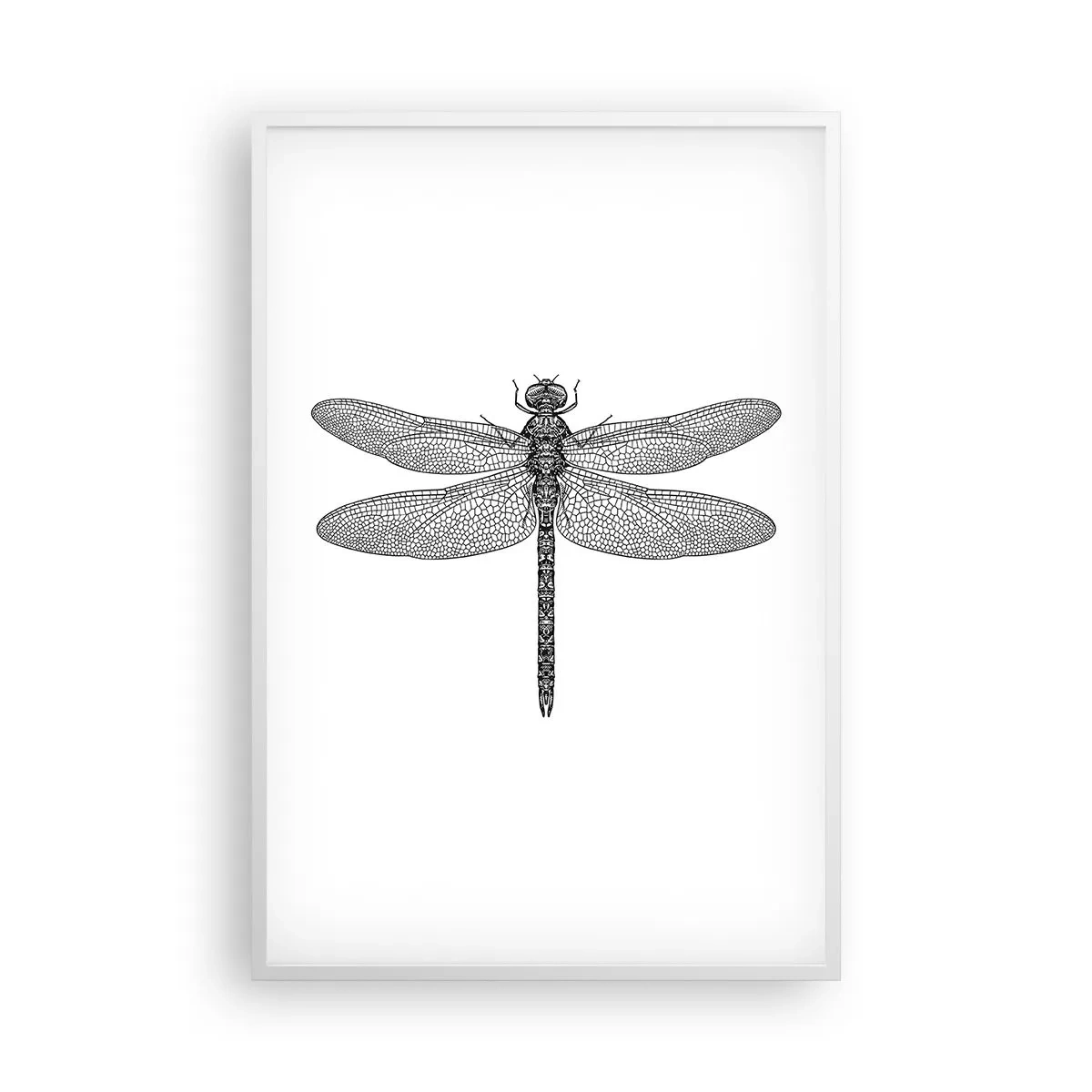 Affisch i vit ram - Precision i naturen - 61x91 cm