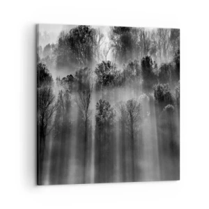 Canvastavla - Bild på duk - I ljusstrålar - 50x50 cm