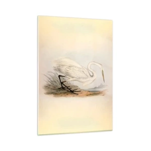 Glastavla - Bild på glas - En dam i vassen - 50x70 cm