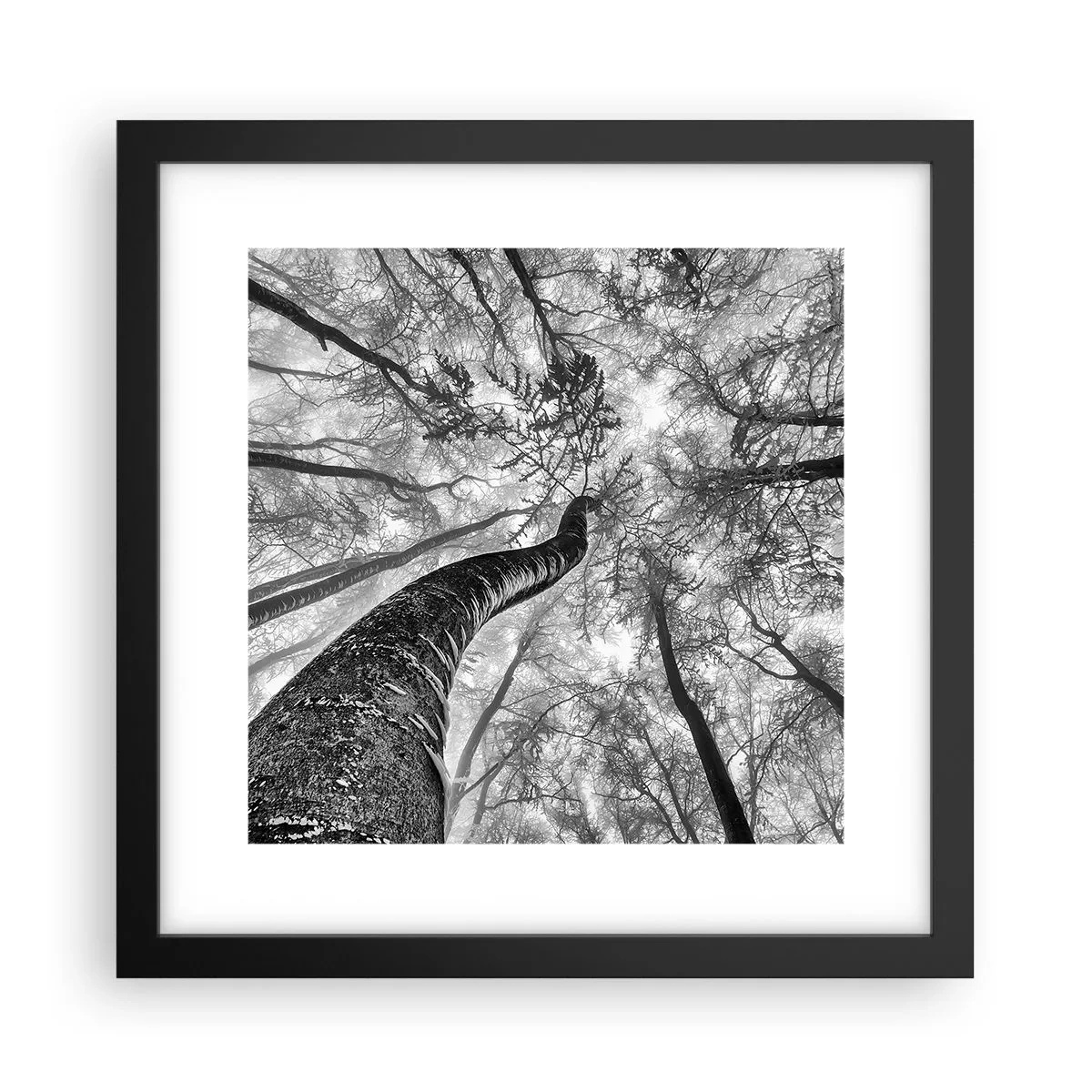 Affisch i svart ram - Kapplöpning mot ljuset - 30x30 cm