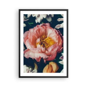 Affisch i svart ram - En rosa blomma med gul mitt omgiven av andra blommor - 50x70cm - Med barockprakt - Modern väggdekoration för vardagsrum och sovrum ARTTOR