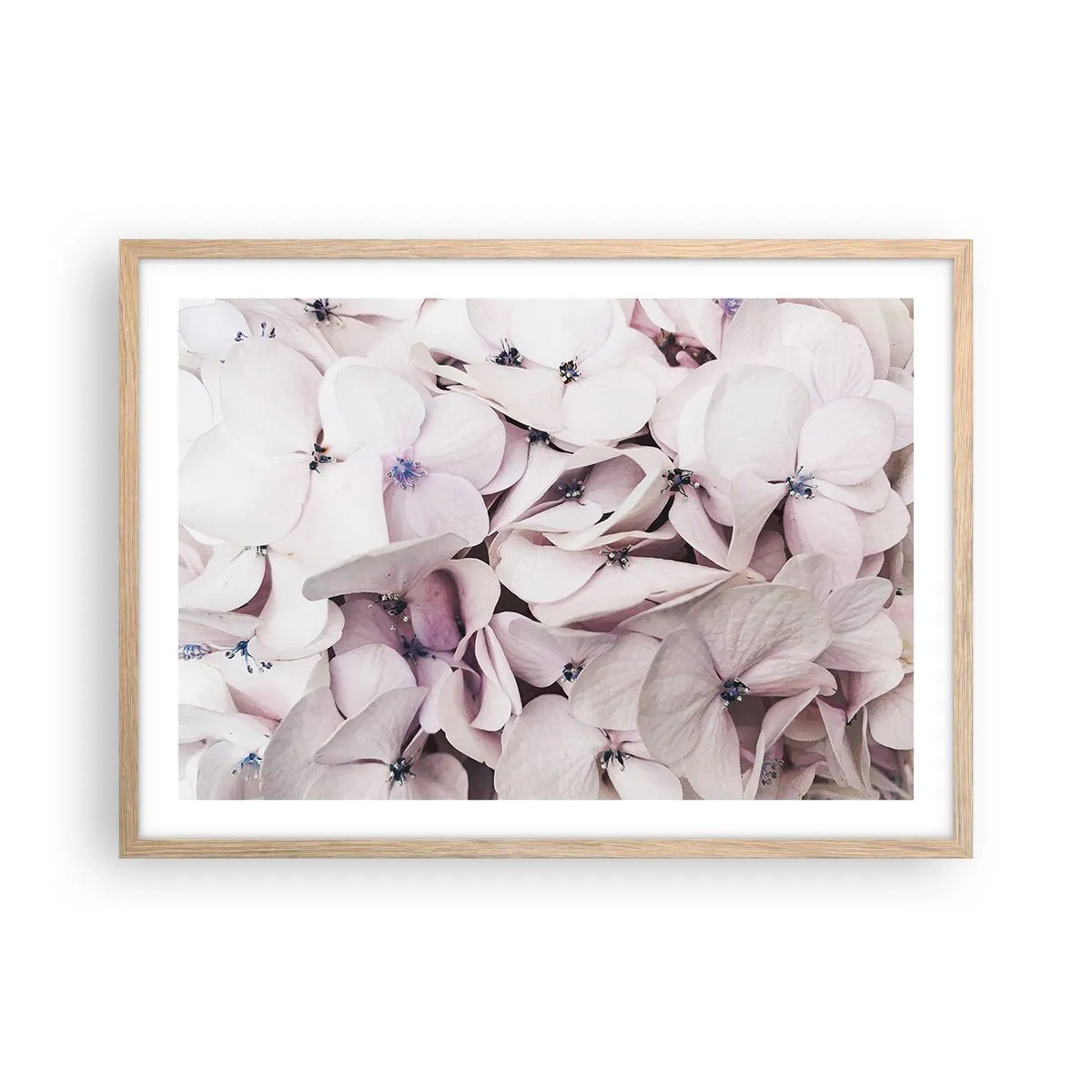 Affisch i ram av ljusek - I en flod av blommor - 70x50 cm