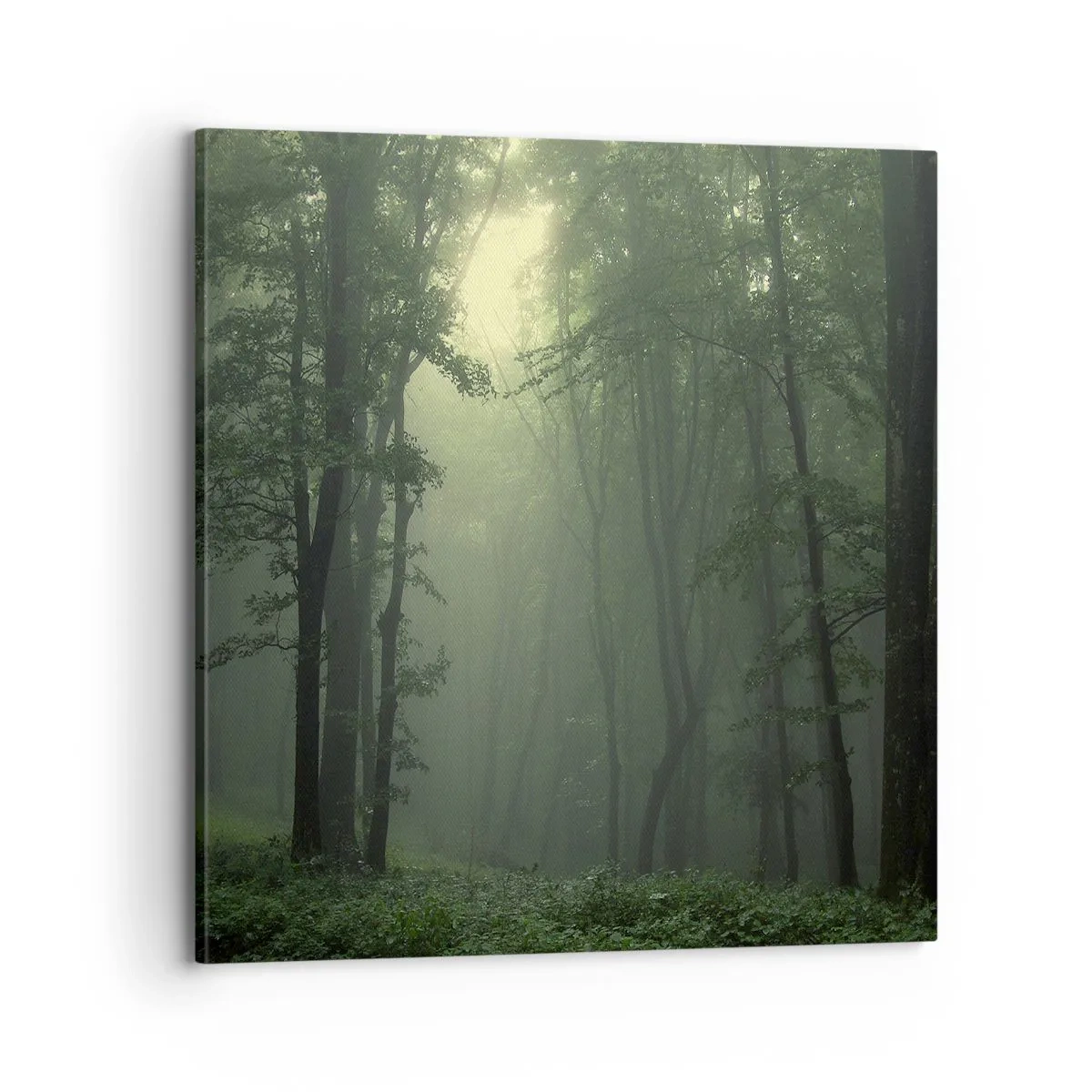 Canvastavla - Bild på duk - Innan skogen vaknar - 70x70 cm