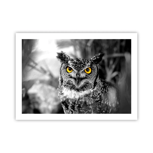 Affisch - Inget kommer undan - 70x50 cm